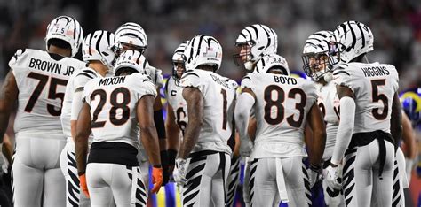 Daily Fantasy Football Picks and Helper: Week 16 .